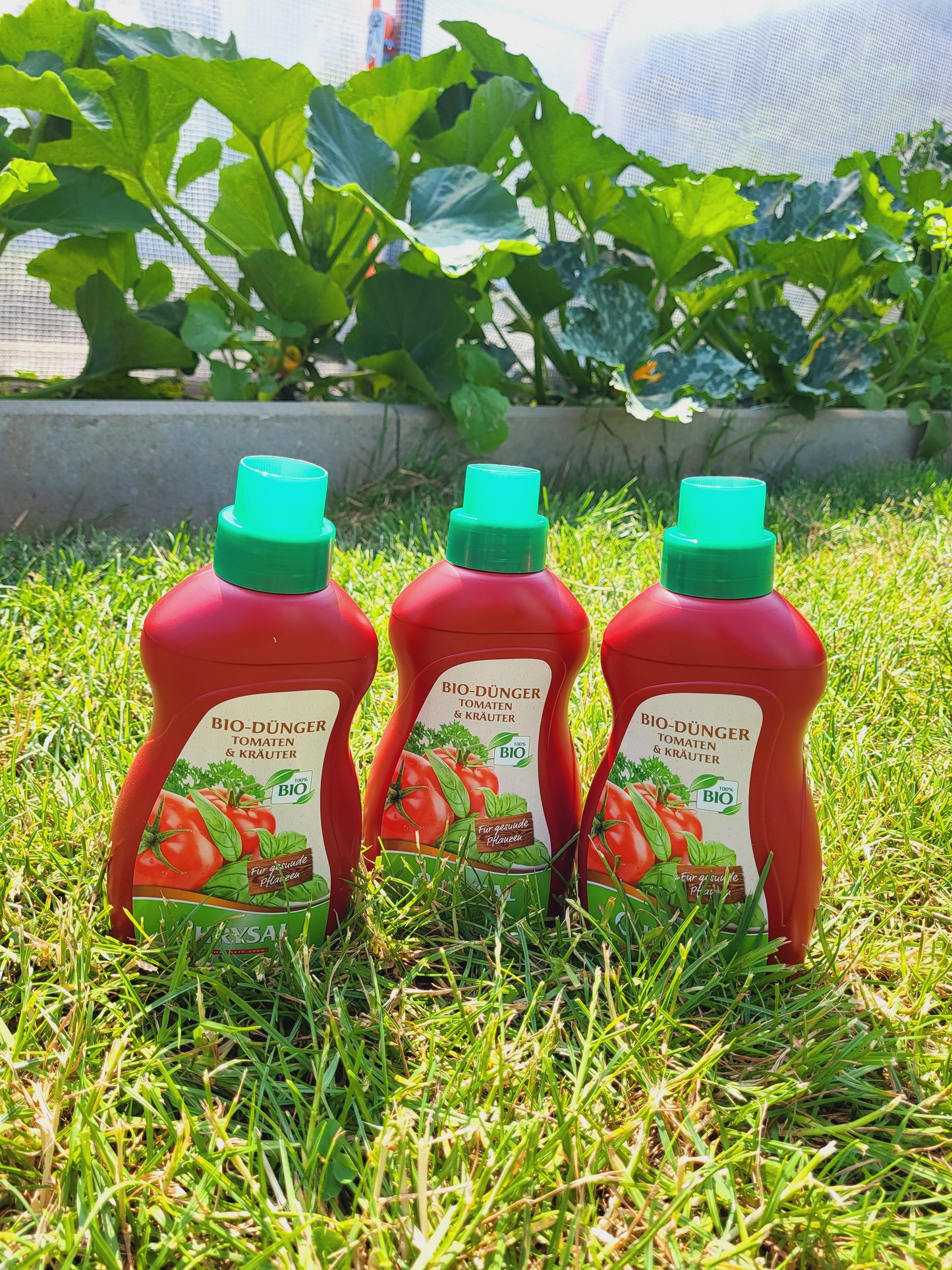 Chrysal Bio Dünger Tomaten & Kräuter 3x 500ml Set