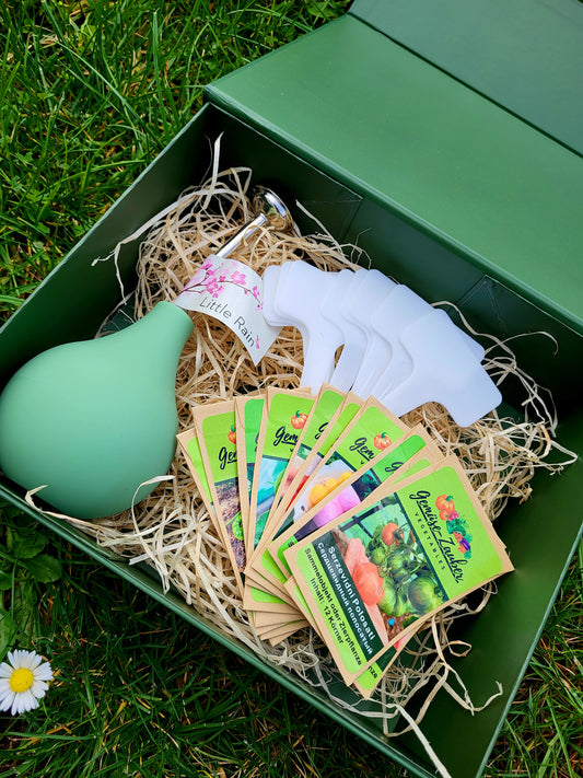 Tomaten Saatgut Box für den Balkon und Terrasse