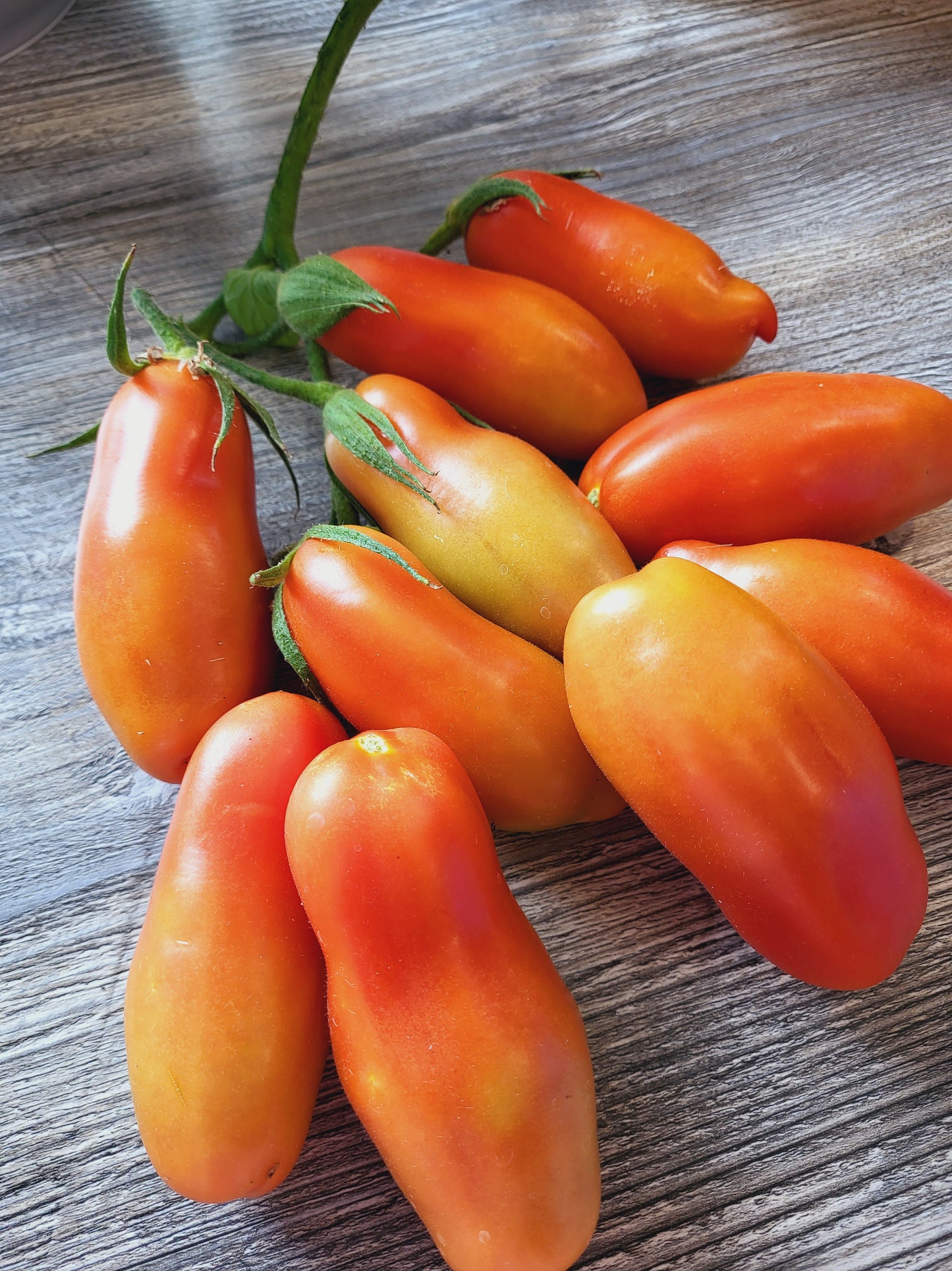 San Marzano