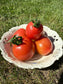 Rosa Tomate