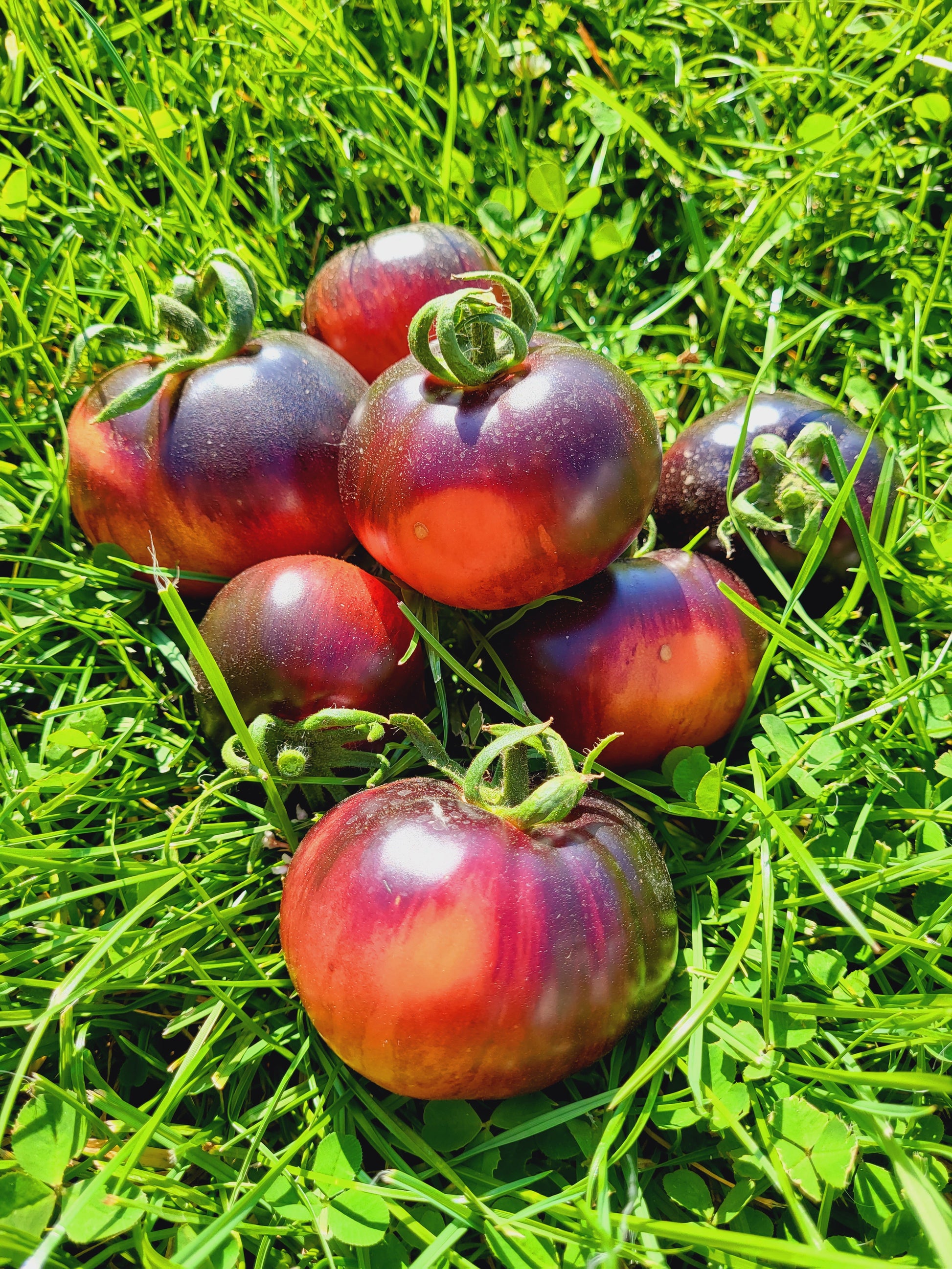 Schwarze Göttin - чёрная богиня – Gemüse-Zauber